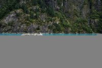 Luxe cruiselijnen vechten dit jaar om een plek in Alaska