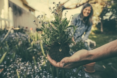 5 tips voor het zomerklaar maken van je tuin