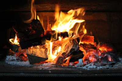 Verschillende soorten hout voor jouw kachel
